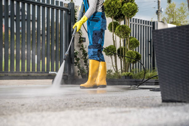 Best Deck Cleaning Services  in Kingston, NJ