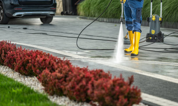 Deck Cleaning Services in Kingston, NJ